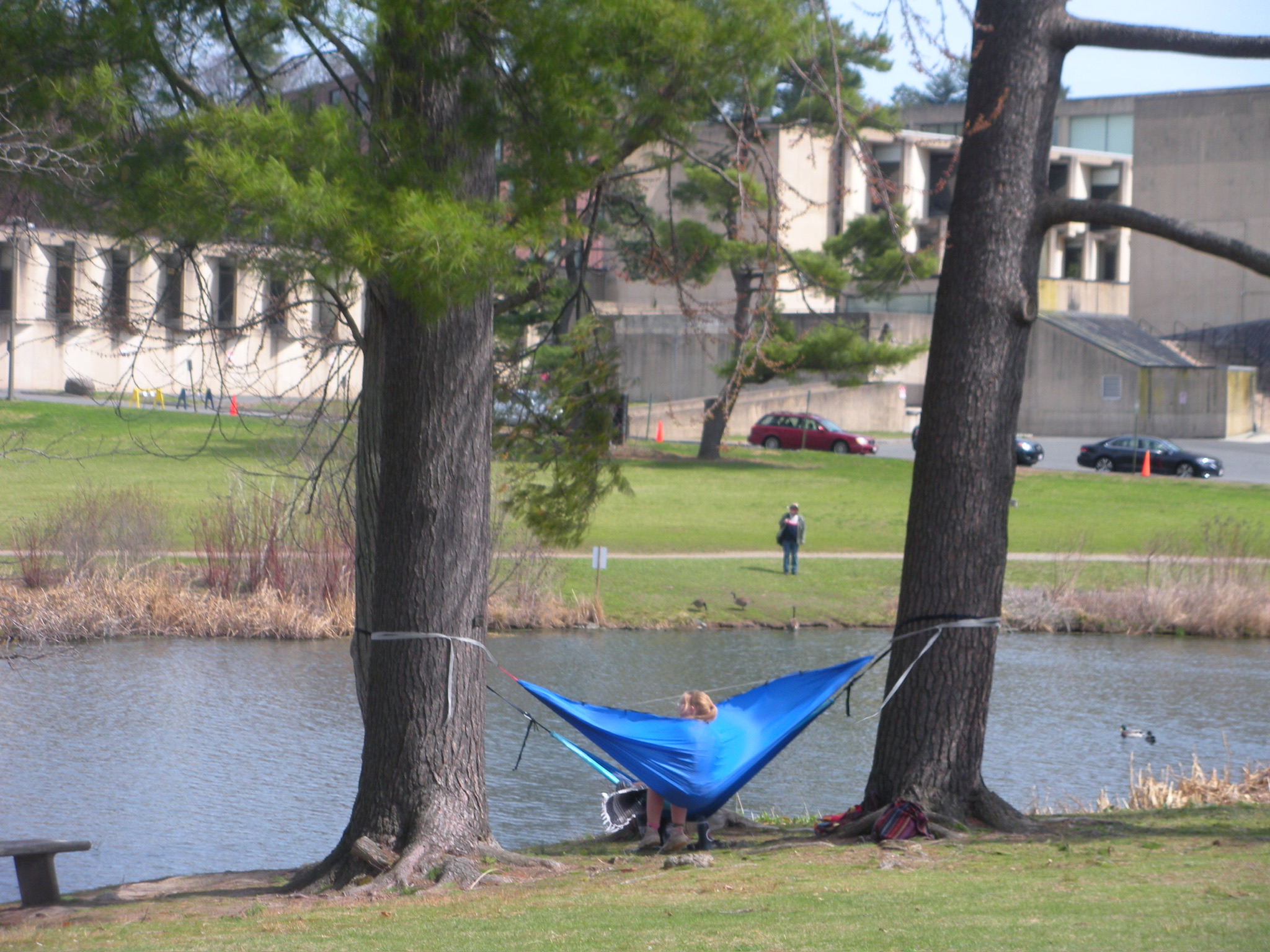 UMASS SPRING 25 photo